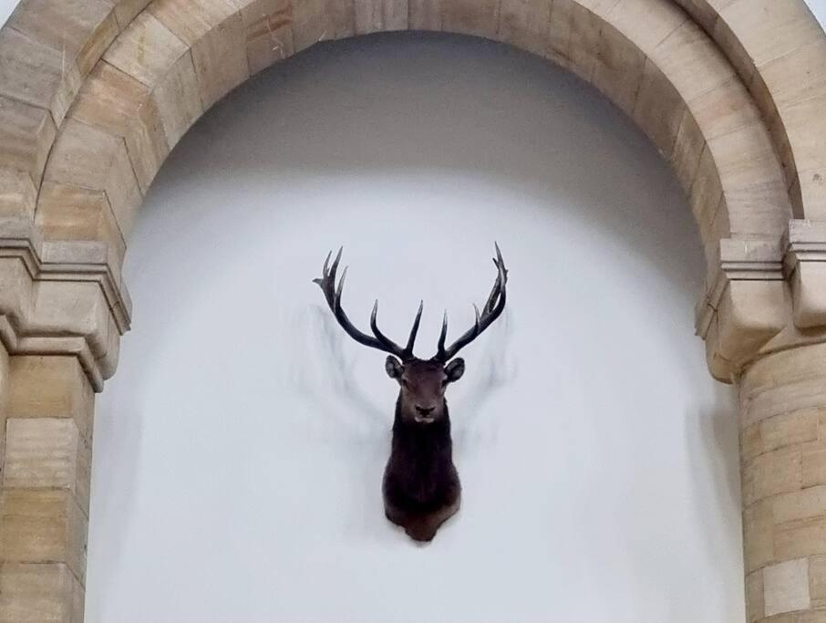Loch Ness - Luxury Highland Retreat In Scotland Apartment ฟอร์ตออกัสตัส ภายนอก รูปภาพ